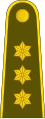 Kapitonas Lithuanian Land Force