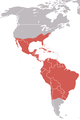 Português: Urubu comum English: American Black Vulture
