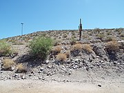 Historic Monument Hill. This is where the initial point of the Gila and Salt River Meridan is located.