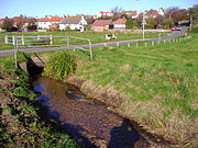 The Back common in Sheringham