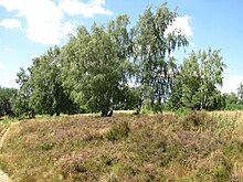 Nature reserve, Söhre