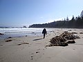 Experiment Bight, Cape Scott