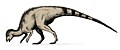 Hypsilophodon, currently stuck in a confusing taxonomic situation. Currently considered to be in a group with the most advanced "hypsilophodonts".