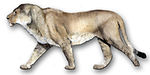 Panthera atrox
