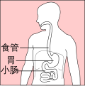 2019年4月26日 (五) 12:54版本的缩略图