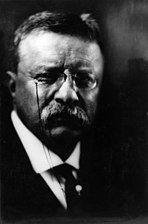 Theodore Roosevelt US President