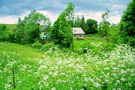 View of houses across meadow in Tokarnia, Poland