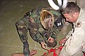 Image 17US Military Police officer restraining and sedating prisoner, while a soldier holds him down (from Political corruption)