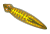 Dugesia gonocephala