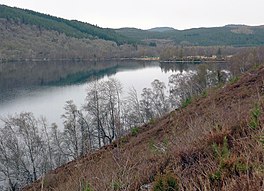 lake surrounded by forested hillsides