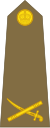 Brigadier-General