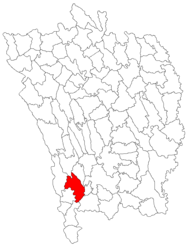 Location in Vaslui County