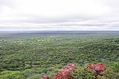 Woody plant encroachment at the Waterberg mountain in Namibia