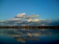 A bright blue lake with a line of cypress trees along the horizon and puffy white clouds in the equally blue sky