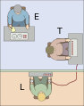Milgram experiment v2.svg (19 times)