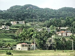 Mountains and homes in Moca