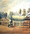 Colborne Lodge 1865