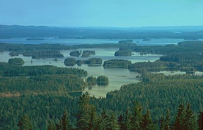 Lake Syväri in Nilsiä, Finland, an example of a lake ecosystem.