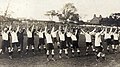 Wallabies 1908