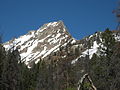 Williams Peak from Alpine Way Trail