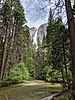 優勝美地瀑布在仲夏季節的白雲飄逸、天水飛洩、綠樹高聳、溪流潺湲的獨特景色。