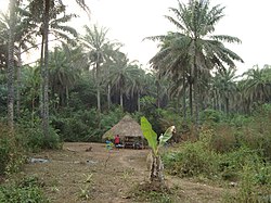 Cottage in the Western Area Rural District, near the Port Loko River