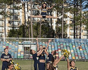 The X-Out Basket (Bond University)