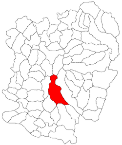 Location in Caraș-Severin County