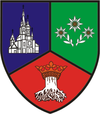布拉索夫县的徽章
