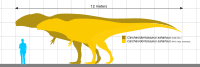 Size chart of C. saharicus specimens IPHG 1922 X46 (destroyed) and UCRC PV12