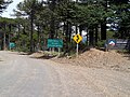 The route at an Araucaria araucana forest in Mamuil Malal Pass