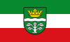 Flag of Mayen-Koblenz