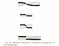 Image 32Thomas Hunt Morgan's illustration of crossing over, part of the Mendelian-chromosome theory of heredity (from History of biology)