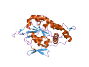 1zrh: Crystal structure of Human heparan sulfate glucosamine 3-O-sulfotransferase 1 in complex with PAP