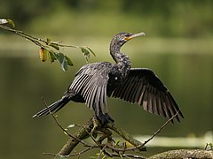 In Costa Rica