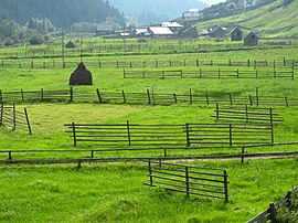 Meadows near Panaci