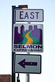 The current Lee Roy Selmon Expressway shield.