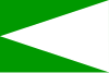 Flag of Villanueva del Campo