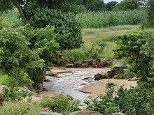 A river bed surrounded by lush vegetation