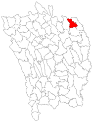 Location in Vaslui County