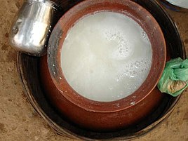 Bastar beer prepared from Sulfi