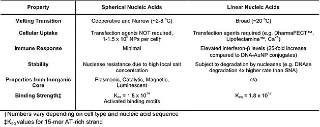 Properties of Spherical Nucleic Acids versus Linear Nucleic Acids alt text