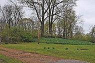 Photo shows a low hill with trees and a telephone pole.