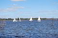 Sailing on Lake Eppalock