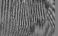 Magnetic domains and domain walls in oriented silicon steel (image made with CMOS-MagView)