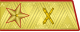 1955年－1974年蘇聯炮兵元帥禮服肩章
