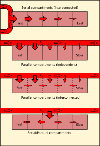 Diagram comparing serial (interconnected), parallel (independent), parallel (interconnected) and combined series-parallel tissue compartment models