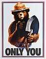 美国1985年护林熊（英语：Smokey Bear）海报，图中“ONLY YOU”来自著名的“Only You Can Prevent Forest Fires”。