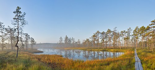 Sunrise at Viru Bog, Estonia