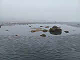 Temporary tide pool at an extreme low tide, Kachemak Bay, Alaska